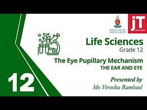 Gr 12 Life Sciences - The Ear and Eye - Eye Pupillary Mechanism