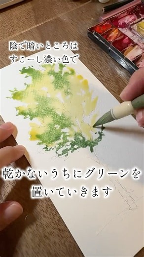 木を描くならこれ！透明感と立体感が出る塗り方🌳基本的にポンポンするだけ♪#watercolorpainting #howtopaint #trend#水彩画#透明水彩#watercolortree
