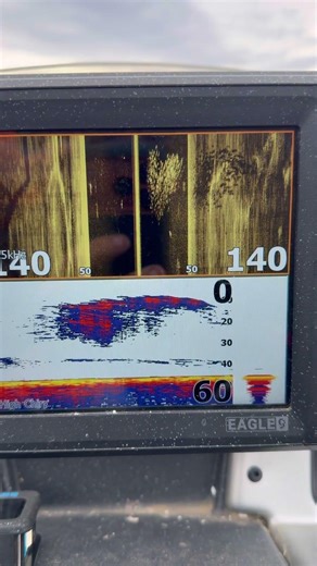 What fish look like on a fish finder side scan #fishing #fish #outdoors