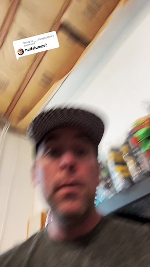 Disney Winnie the Pooh Heffalump and Woozle Fan Reply