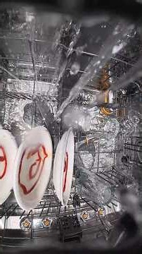 I Put a Camera INSIDE My Dishwasher | ASMR
