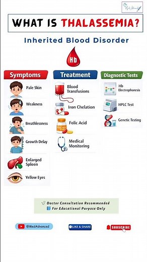 What is Thalassemia? | Symptoms, Tests & Treatment Explained