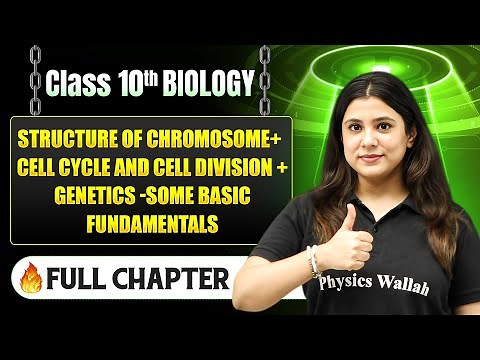 Structure of Chromosomes + Cell Cycle & Cell Division + Genetics in One Shot Class 10 Icse Biology