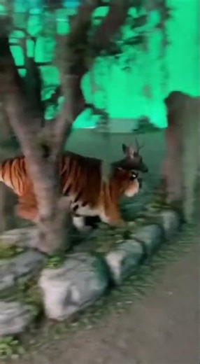 How Wildlife Documentaries are Filmed