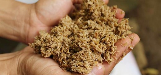 Drying Spent Grain with Stronga – Sustainable Uses of Brewers Grains - STRONGA