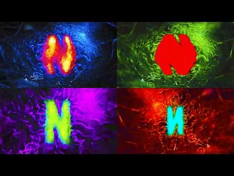 NETFLIX Stranger Things Logo Effects. Klasky Csupo 2001 Combined X4