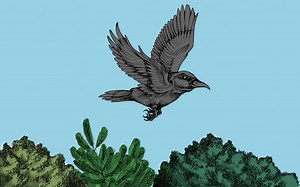 The Fox and the Crow: A Very Short Story for Kids with Pictures