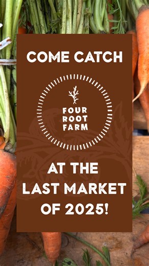 CitySeed on Instagram: "Catch Four Root Farm at the last farmers market of 2025 🎉 It's the last chance to get farm-fresh produce and presents before your Holiday celebrations! VENDORS for this Saturday: Four Root Farm @fourrootfarm (last market of the winter for them!) Sugar Maple Farm Mycelium Farm @mycelium_farm649 Seacoast Mushrooms @seacoastmushrooms Waldingfield Farm @waldingfieldfarmct Star Light Gardens @starlightgardens Sunset Farm @sunsetfarmct Little Sisters Farm @thelittlesistersfarm