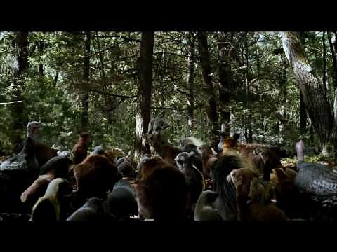Furry Vengeance (2010) [Official HD Movie Trailer] ~1080p~.mp4