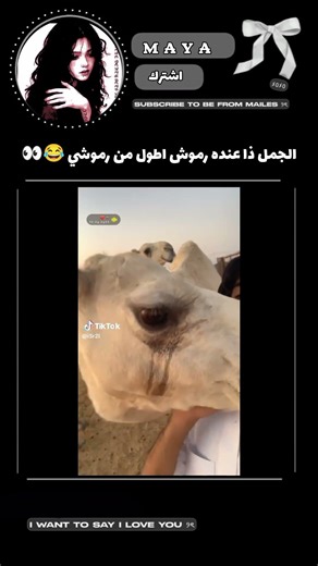 رموش الجمل اطول من رموشي 😂👀 #اكسبلور #tik_tok