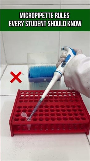 Mircopipette Rules Every Biotech Student Should Know