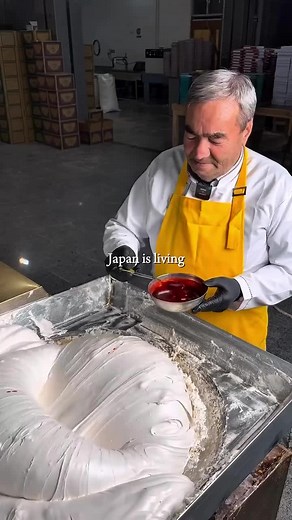 Innovative Technologies in Japan's Everyday Life