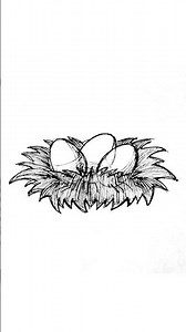 How to draw a nest easy