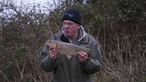 NEW FILM: 'Throop Chub' with Terry Theobald We join fanatic chub angler Terry 'Theo' Theobald down on one of the most famous stretches of the Dorset Stour, Throop Beat 2, to trot for winter chub. It doesn’t all go according to plan, but despite a tough day, Theo’s perseverance pays off! | Drennan International