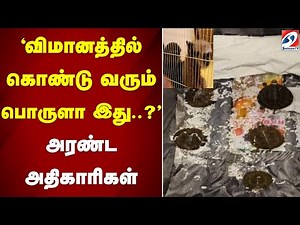 Chennai Airport| விமானத்தில் கொண்டு வரும் பொருளா இது?' - அரண்ட அதிகாரிகள்