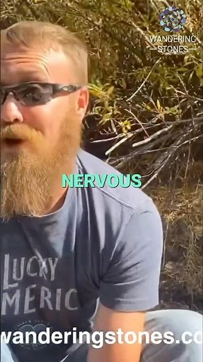 Gold Panning Tips: Build Confidence and Master the Technique!