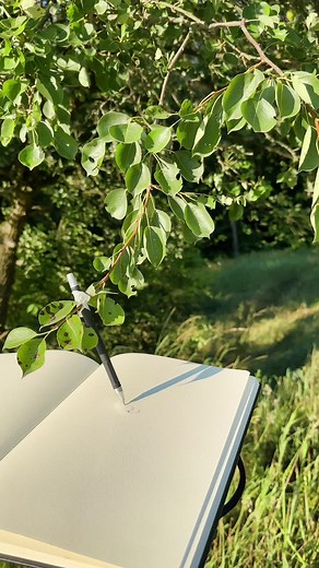 what does the tree say during the air alarm?