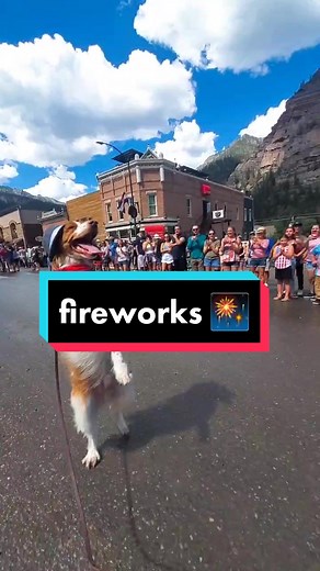 fireworks 🎆 #dexterdogouray #july4th #comedy