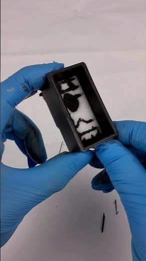 Inside Canon PG-540 (5225B001) Black Ink Cartridge