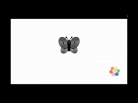 BabyFirst Black & White: Butterfly🦋