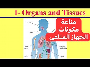 معلومة مناعية مختصرة (الجهاز المناعى) The Immune System