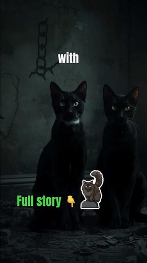 This Halloween! Enjoy the spookiest stories! Visit Echoes and Revisions