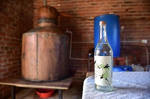 Mampoer makes list of world's 21 strongest drinks [infographic]