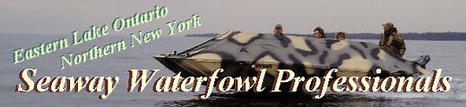 New York Guided Duck Hunting Trips - Bill Saiff Outdoors