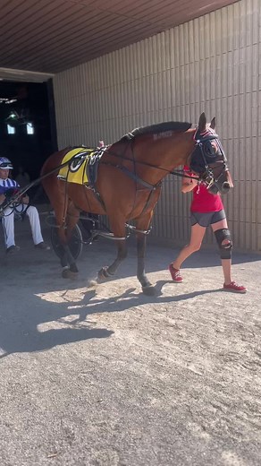 Heading to the track! #harnessracing #horses #standardbred #iphone14promax #ohio #ohha #icantstop #reels #reelsvideo #athlete #fyp #fypシ #fypage