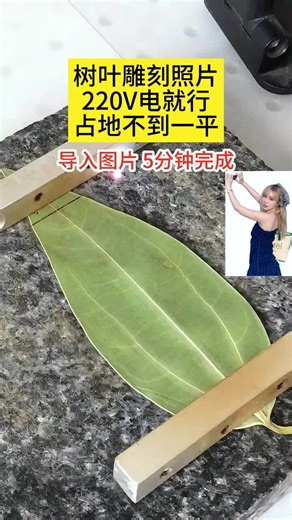 Redsail laser on Instagram: "Using a laser marking machine to engrave portraits onto leaves"