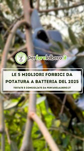 Le 5 migliori forbici da potatura a batteria del 2025 . Abbiamo testato le forbici da potatura a batteria più amate dagli agricoltori 🌳 Dalla Volpi KV295 alla Pellenc C3X, scopri quali garantiscono tagli precisi, autonomia e potenza senza compromessi. Perfette per vite, olivo e frutteto. Guarda il video e scrivi nei commenti quale preferisci! . #potatura #forbiciabatteria #forbice #potaturaalberi #agricoltura #giardinaggio #pruning #attrezzipotatura | perfarelalbero.it