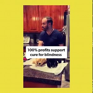 39K views · 1K reactions | 瑩 Guide dogs mean so much to the visually...