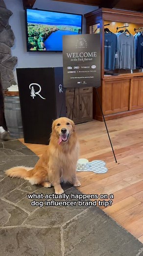 2.9K views · 237 reactions | Our first brand trip, hosted by @5wpr,...