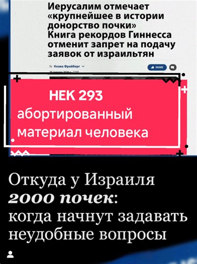 HEK-293: Происхождение и последствия использования клеток