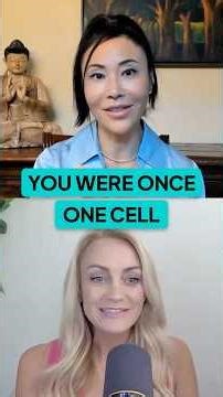 You Were Once One Stem Cell