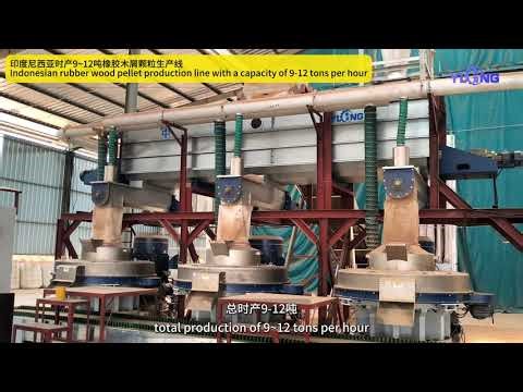 Yulong 200tons Per Day Capacity Rubber Wood Pellet Production Line Industrial Grade