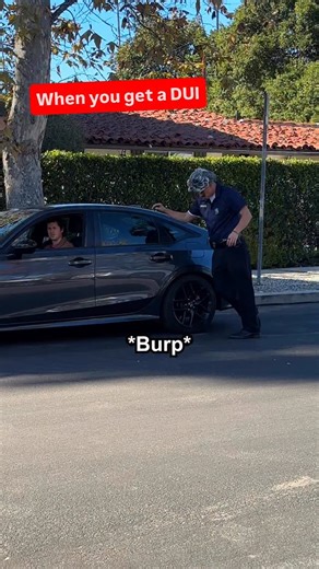 Matthew Josten on Instagram: "When you get a DUI #funny #comedy #reels #drink #drinks #cop #police"