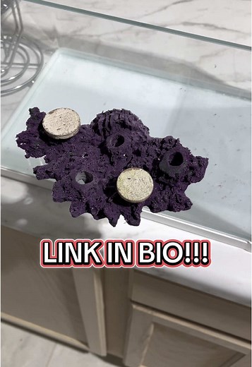 Transform Your Reef Tank with Magnetic Shelf Rock