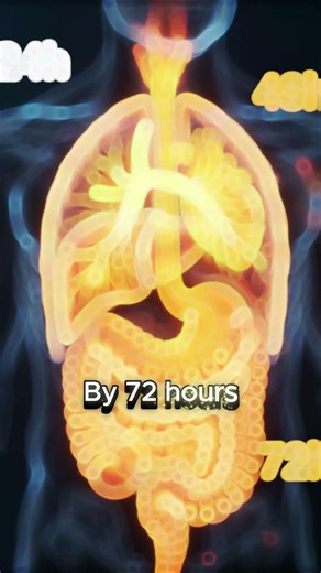 What Happens When You Fast for 72 Hours? 😮