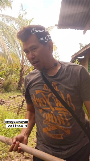 Pruning tools #fyp #cacoa#farming #fyp#TopFans#fertilizer #followers#share #chocolate#post | CACAO tutorial ni JM