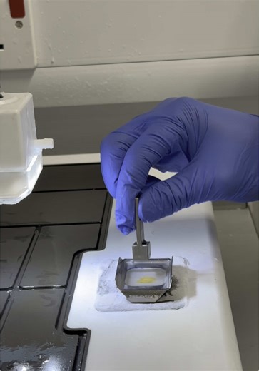 Some weekend embedding 🥼🔬#biomedical #biomedicalscience #laboratory #fyp