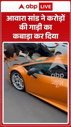 Viral Video | आवारा सांड ने करोड़ों की गाड़ी का कबाड़ा कर दिया | #ytshorts #breakingnews