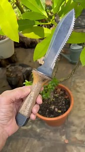 5.9K views · 244 reactions | One of my holy grail must-have gardening tools, a hori hori knife. Useful for all different types of plants and projects the hori hori knife is an essential tool in my gardening kit 摒華#gardenersofinstagram #organic #organicgardening | Howard Garrett, Dirt Doctor | Facebook