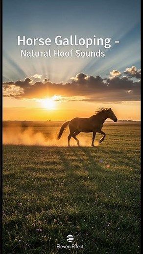🐎 Horse Galloping – Realistic Horse Hoof Sounds for Ambience