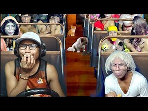 LAKAS MANG ASAR DI NAMAN MARUNONG MAG DRIVE