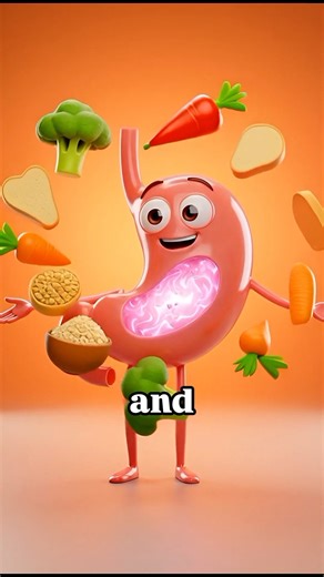 How Your Body Works: Liver, Bones, Skin, Stomach & Immune System | 3D Health Animation/../..#ahorts