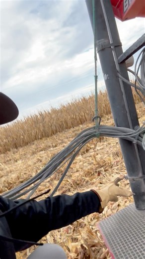 31K views · 173 reactions | Grain cart hack on the farm!! #farm #farming #farmlife #familyfarm #agriculture #reelsvideo #reelsfb #reels #tractor #caseih #johndeere #fun #harvest #country #work #hardwork #iowa #kids | Titman Farms | Facebook