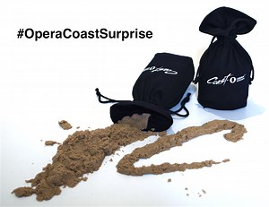 Demystifying #OperaCoastSurprise