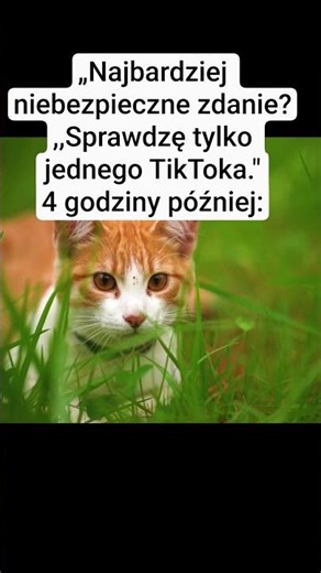 Za każdym razem