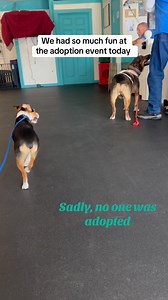 2.6K views · 65 reactions | ❤️Check out our fun playgroups at the...